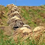 La Casetta Del Cantiniere Castel di Lama