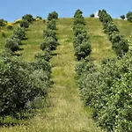 Bed and breakfast La Casetta Del Cantiniere