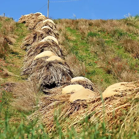 La Casetta Del Cantiniere Castel di Lama