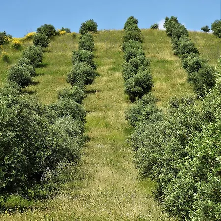 Bed & Breakfast La Casetta Del Cantiniere